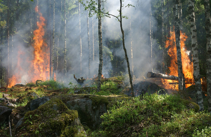 Bild till nyheten Stor brandrisk i Östergötland
